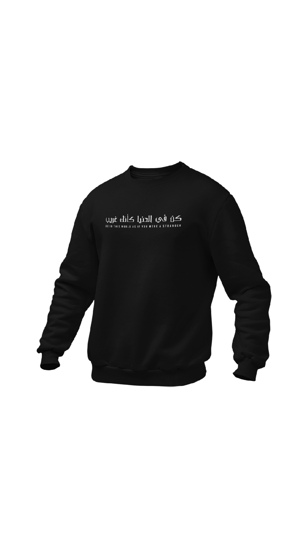 "Be In This World" Arabic crewneck