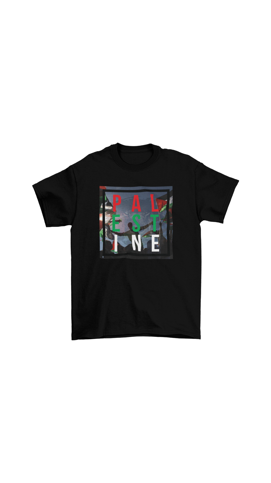 "PALESTINE" tee