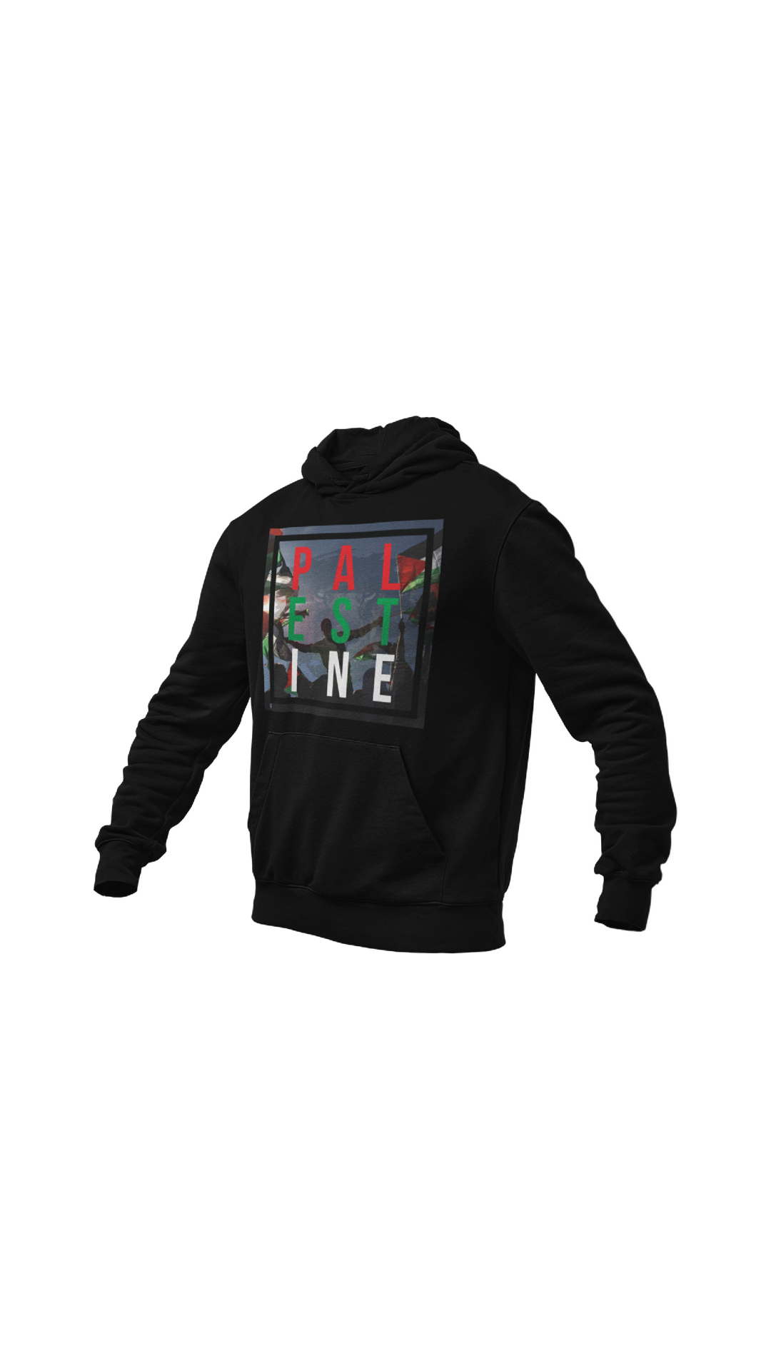 "PALESTINE" hoodie